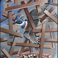 Morgan Bulkeley'swork, Book: Belted Kingfisher Mask